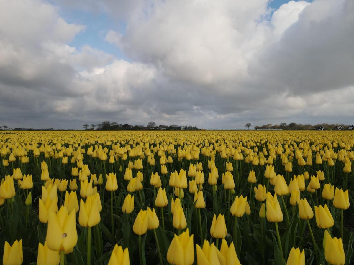 Camping De Tulpenweide Lege Kampeerplaats, Lege Plaats Op Het Gras Zonder Bed Breezand ภายนอก รูปภาพ