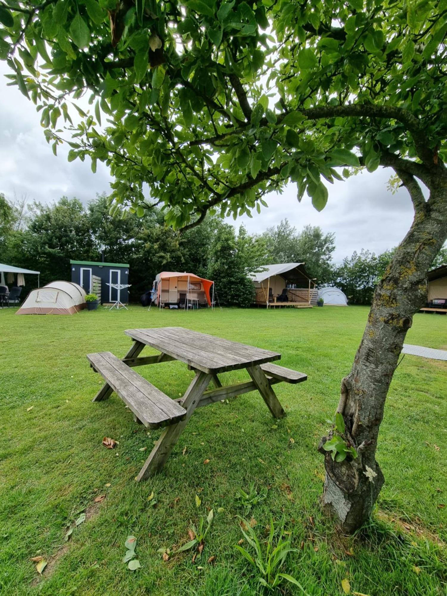 Camping De Tulpenweide Lege Kampeerplaats, Lege Plaats Op Het Gras Zonder Bed Breezand ภายนอก รูปภาพ