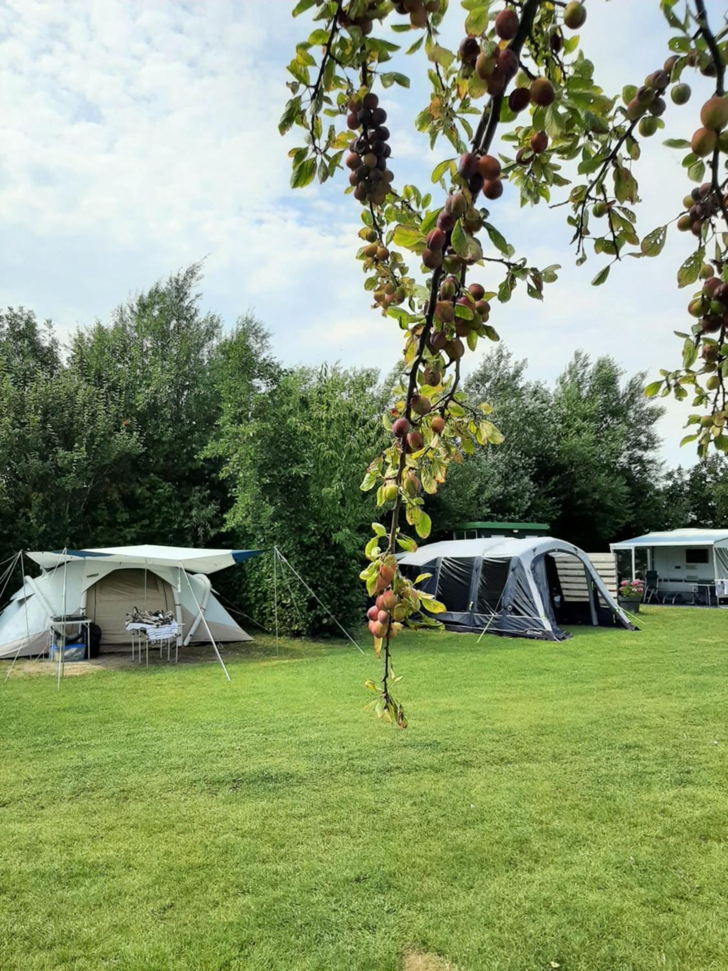 Camping De Tulpenweide Lege Kampeerplaats, Lege Plaats Op Het Gras Zonder Bed Breezand ภายนอก รูปภาพ