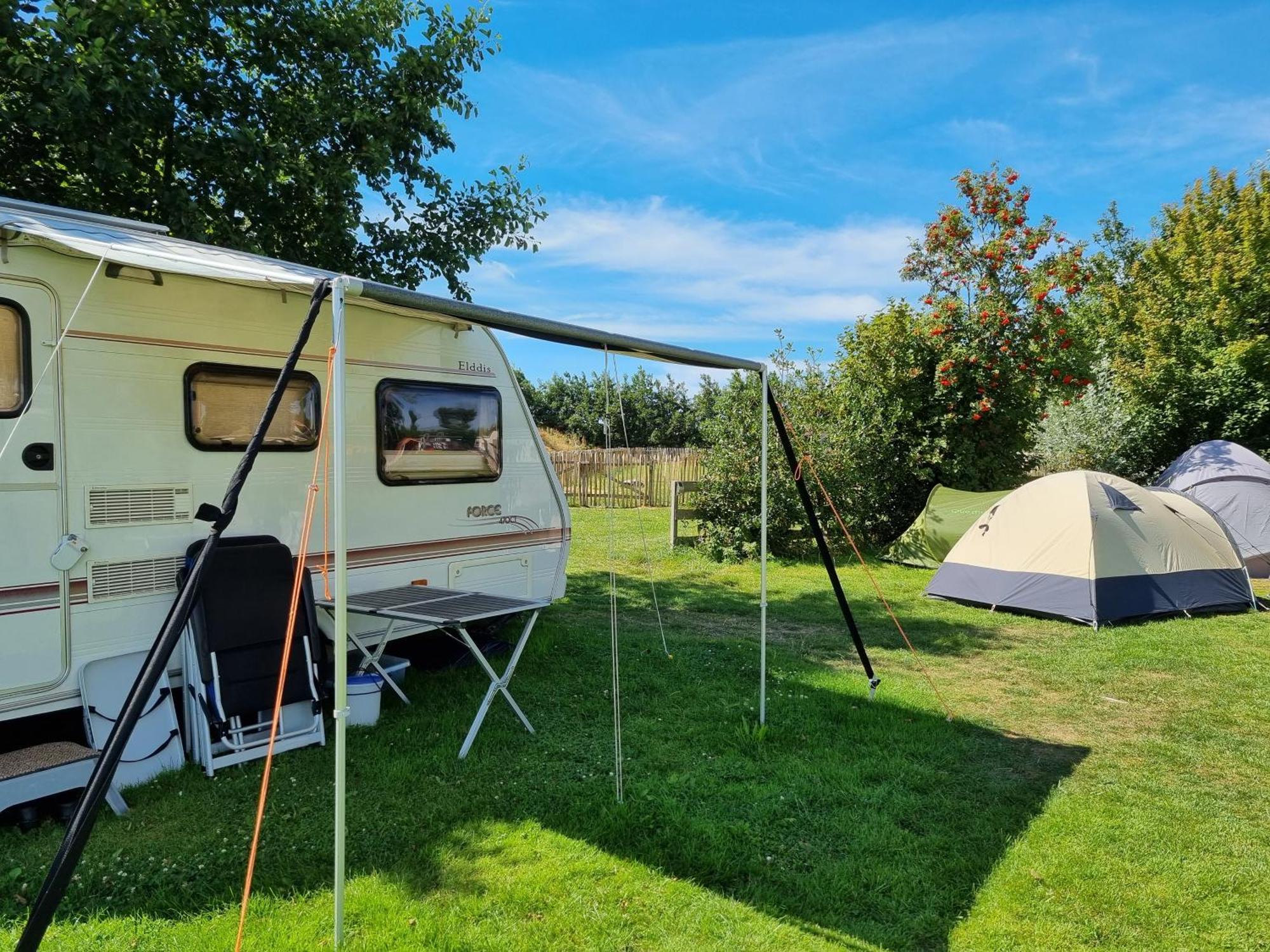 Camping De Tulpenweide Lege Kampeerplaats, Lege Plaats Op Het Gras Zonder Bed Breezand ห้อง รูปภาพ
