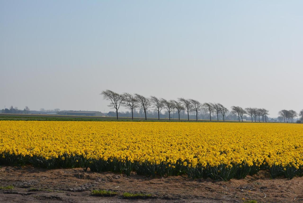 Camping De Tulpenweide Lege Kampeerplaats, Lege Plaats Op Het Gras Zonder Bed Breezand ภายนอก รูปภาพ