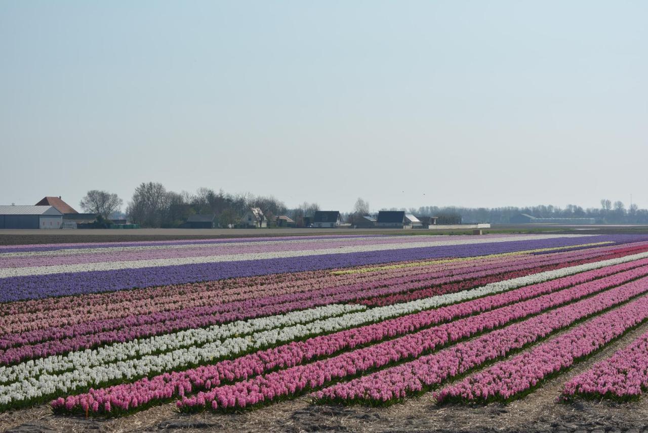 Camping De Tulpenweide Lege Kampeerplaats, Lege Plaats Op Het Gras Zonder Bed Breezand ภายนอก รูปภาพ