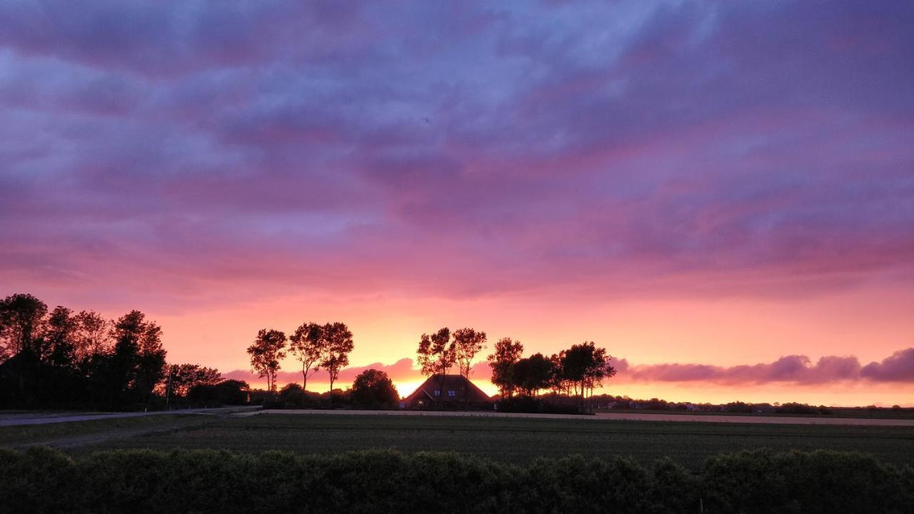 Camping De Tulpenweide Lege Kampeerplaats, Lege Plaats Op Het Gras Zonder Bed Breezand ภายนอก รูปภาพ